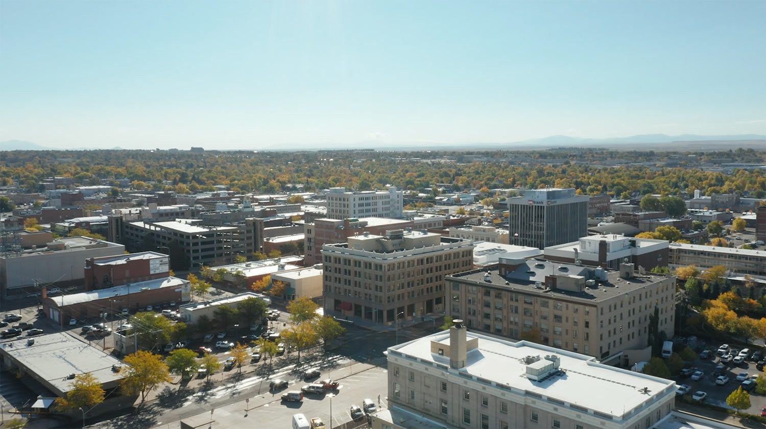 Services Catalyst Commercial Real Estate